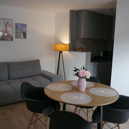 Free Garage In The Center-Delicia 4 Studio! Sibiu Exterior photo